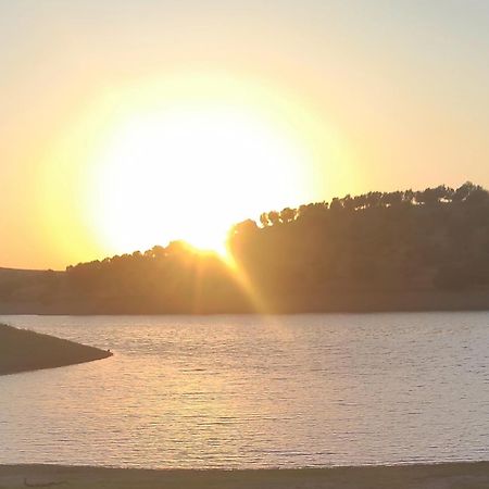 Вилла Nova Quinta Moderna Torramo Em Oliveiras, Campo De Laranjas, Na Nacional 2, Alentejo 13750 M2 Торран Экстерьер фото