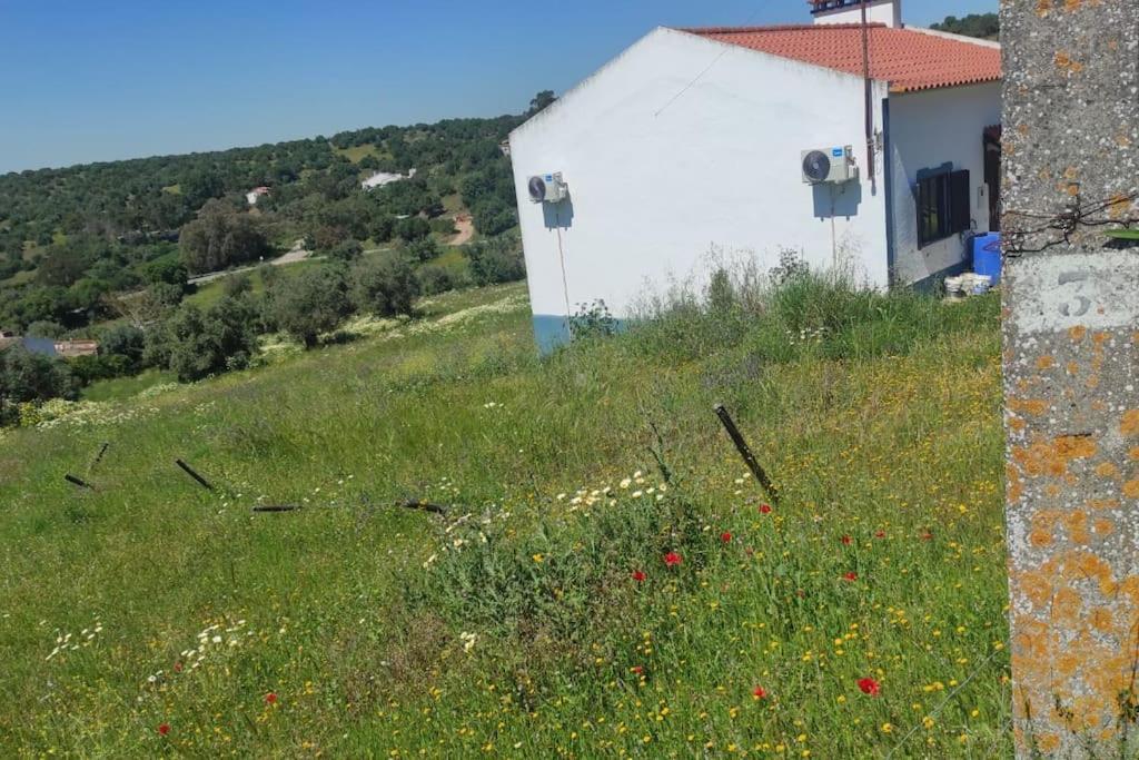 Вилла Nova Quinta Moderna Torramo Em Oliveiras, Campo De Laranjas, Na Nacional 2, Alentejo 13750 M2 Торран Экстерьер фото