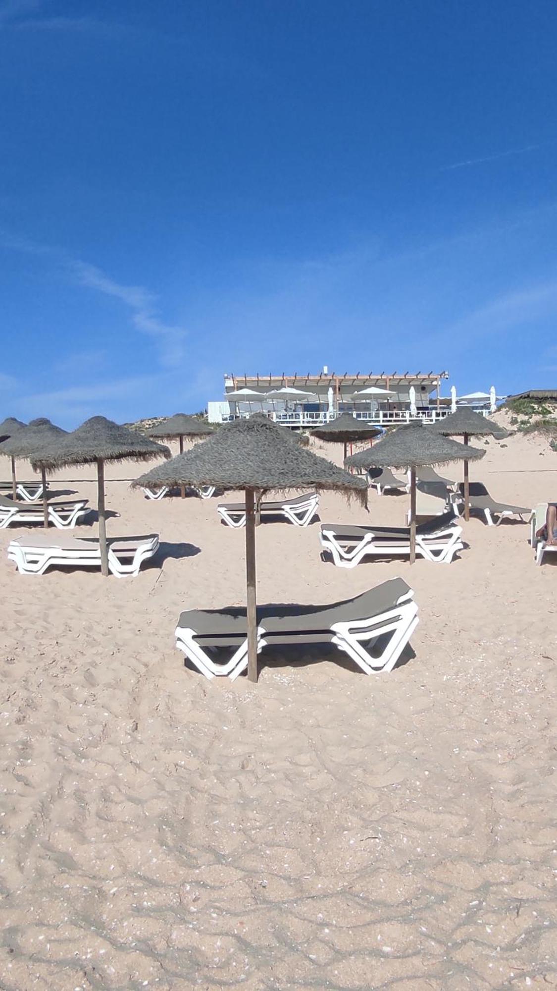 Вилла Nova Quinta Moderna Torramo Em Oliveiras, Campo De Laranjas, Na Nacional 2, Alentejo 13750 M2 Торран Экстерьер фото