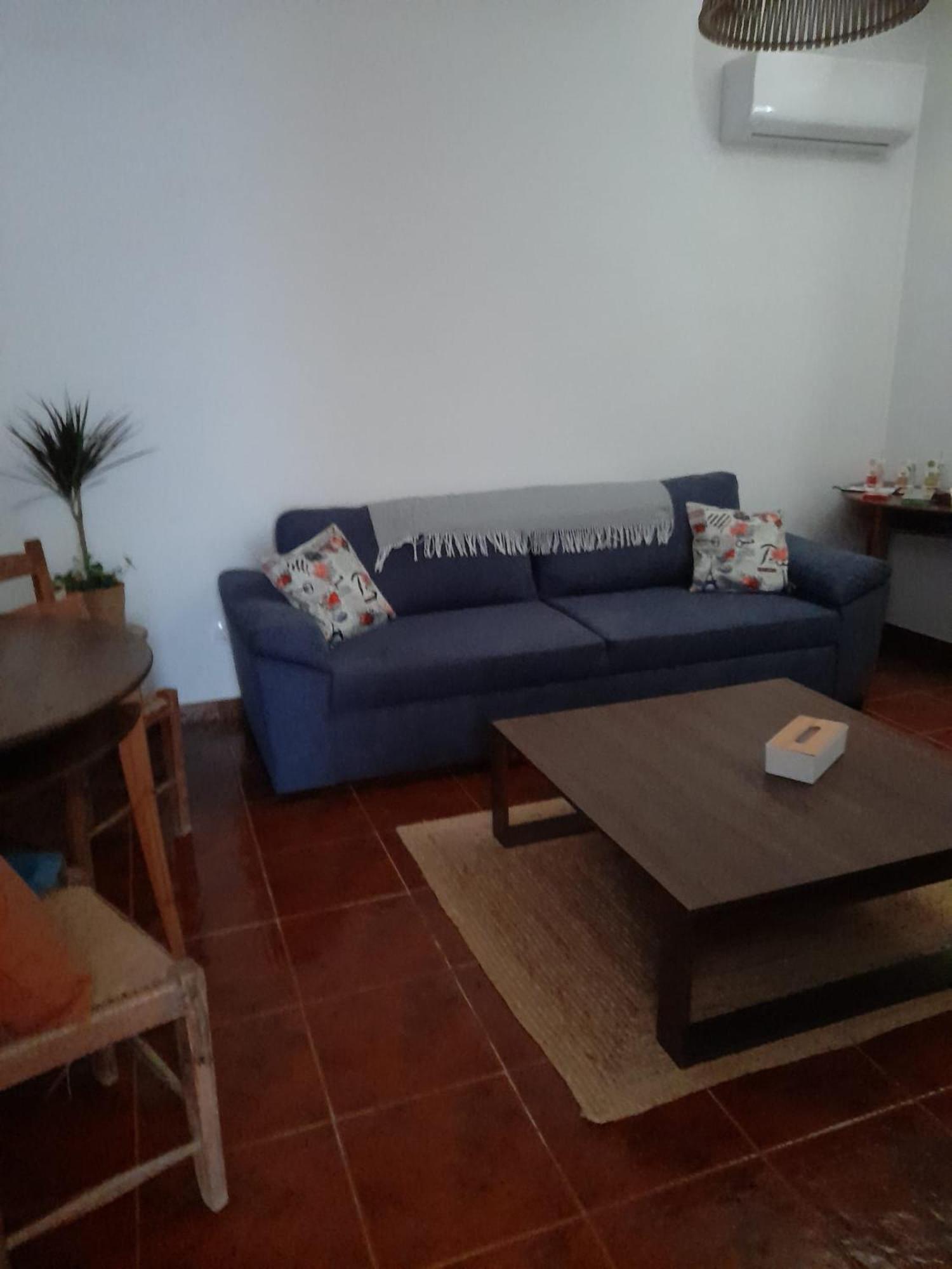 Вилла Nova Quinta Moderna Torramo Em Oliveiras, Campo De Laranjas, Na Nacional 2, Alentejo 13750 M2 Торран Экстерьер фото