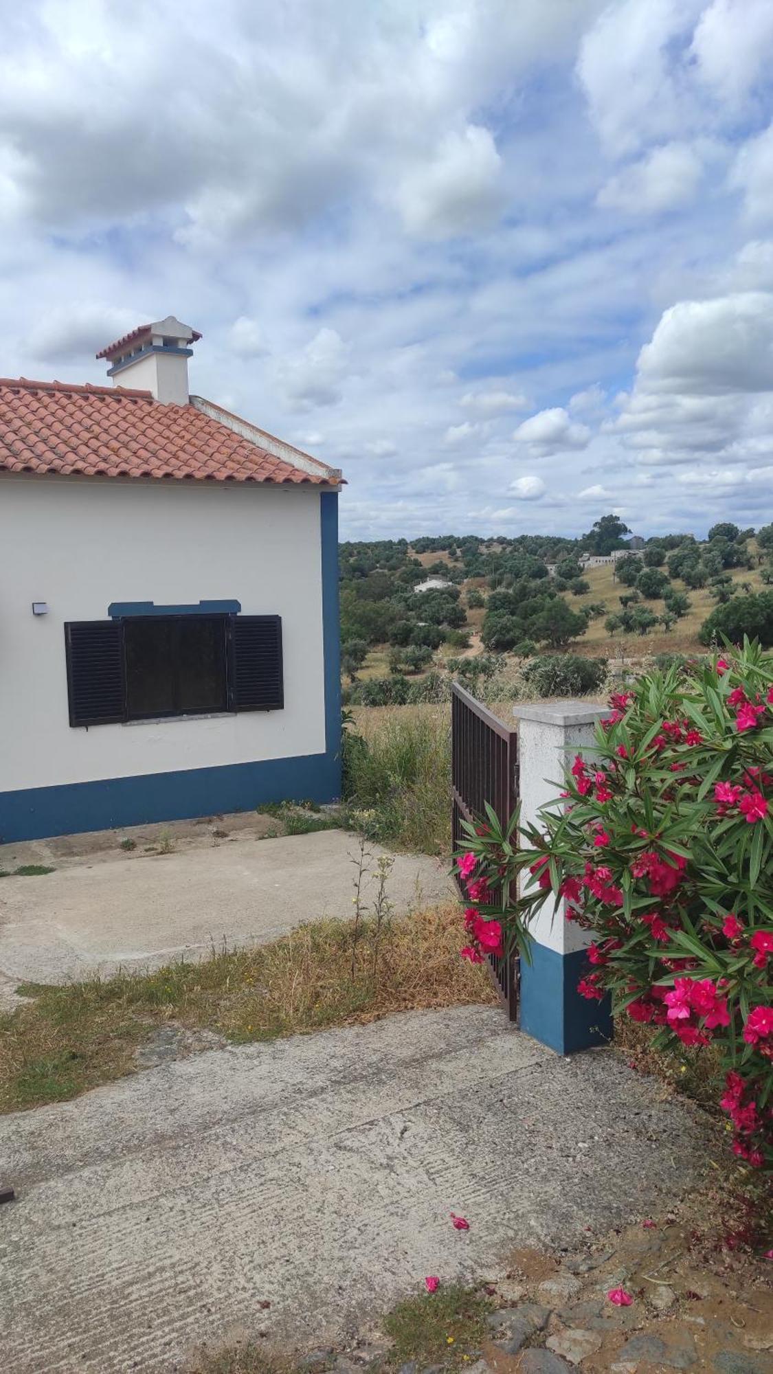 Вилла Nova Quinta Moderna Torramo Em Oliveiras, Campo De Laranjas, Na Nacional 2, Alentejo 13750 M2 Торран Экстерьер фото